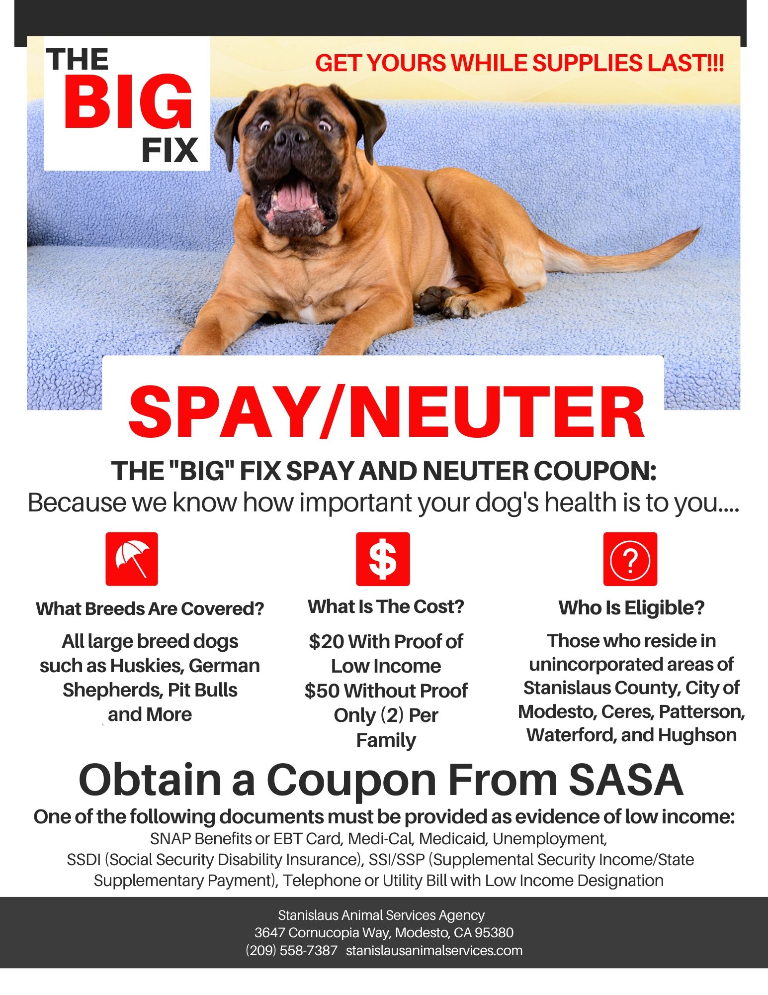 places to get your dog neutered near me